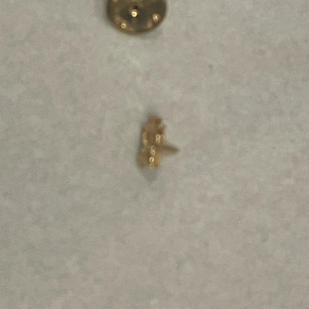 vintage guc tiny gold owl pin